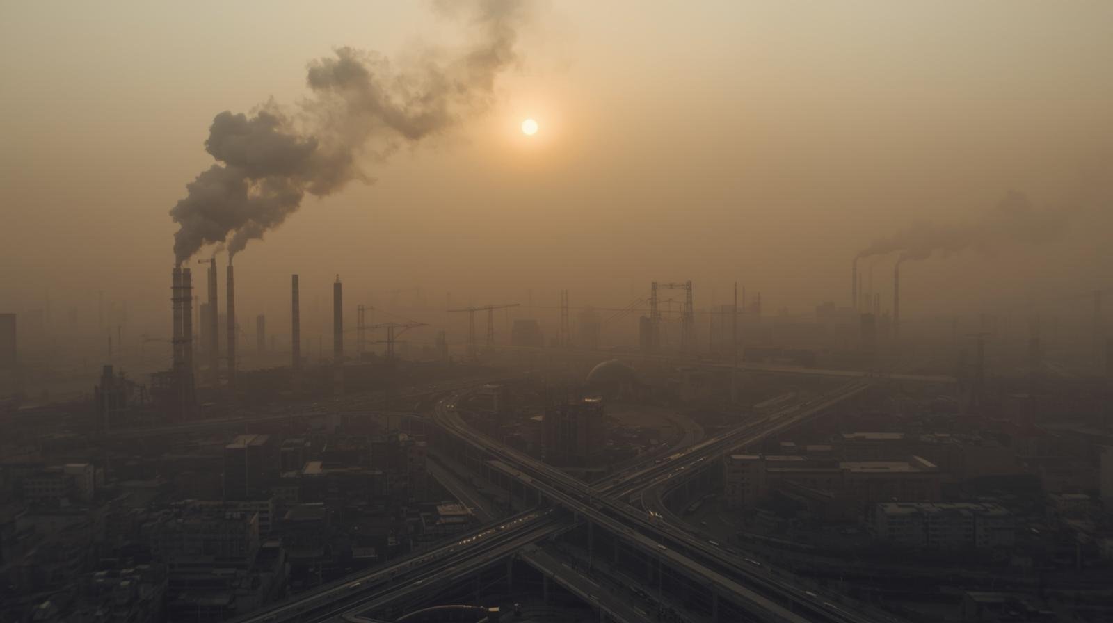 How to Control Air Pollution: 5 Ways to Protect Your Health